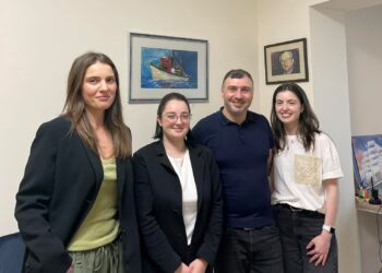 საკრუინგო კომპანია Lucent Georgia LLC