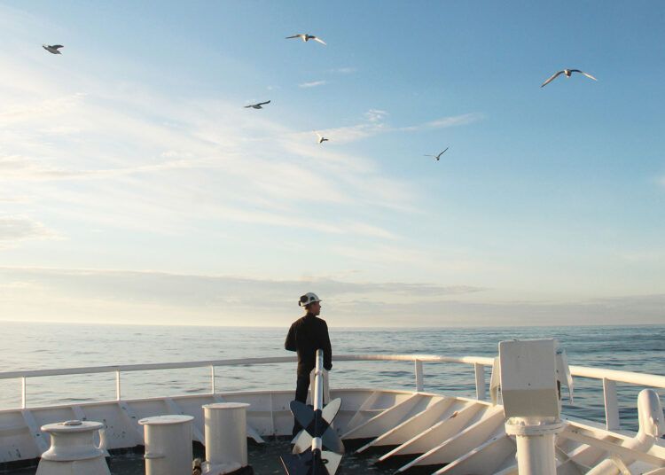კაპიტნის რჩევები დამწყებ მეზღვაურებს